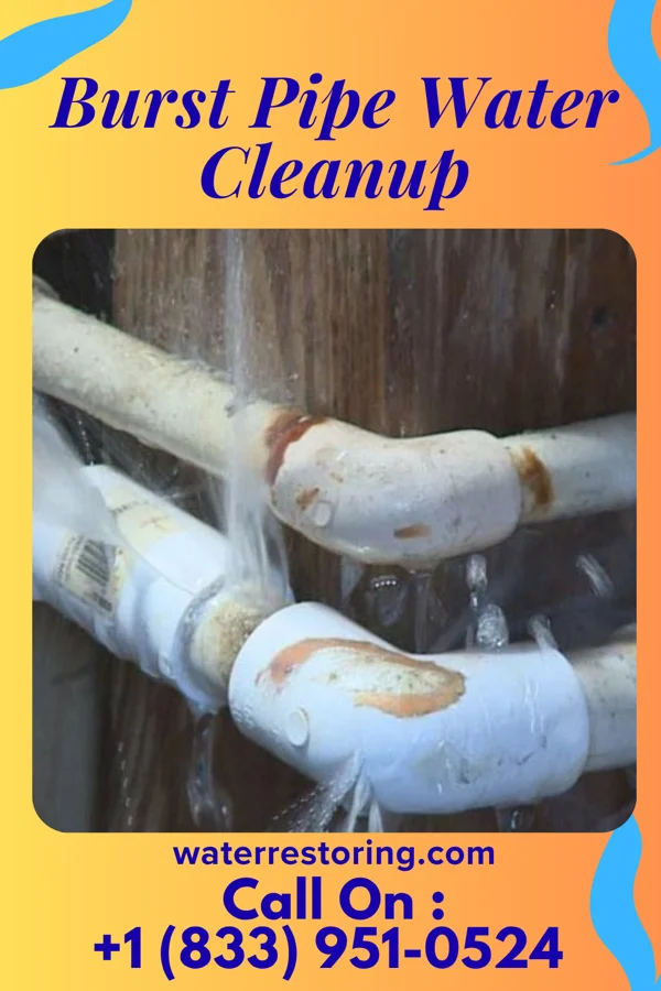 Burst Pipe Water Cleanup in Sibley, IA