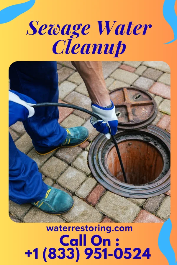 Sewage Water Cleanup in Sibley, IA